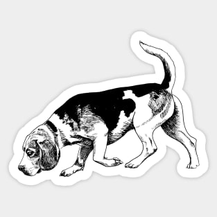 beagle Sticker